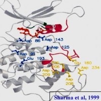 molecularmodel